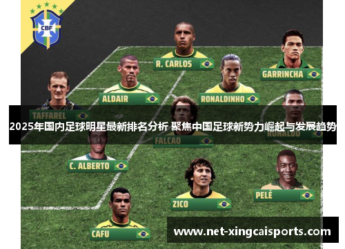 2025年国内足球明星最新排名分析 聚焦中国足球新势力崛起与发展趋势