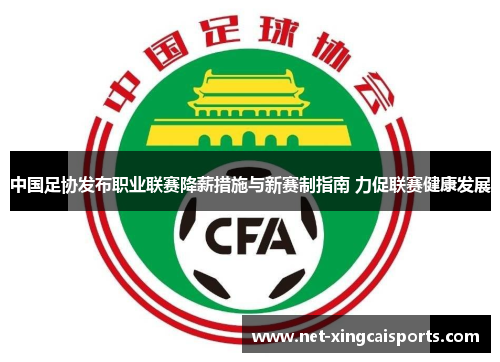 中国足协发布职业联赛降薪措施与新赛制指南 力促联赛健康发展