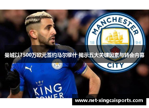 曼城以7500万欧元签约马尔穆什 揭示五大关键因素与转会内幕