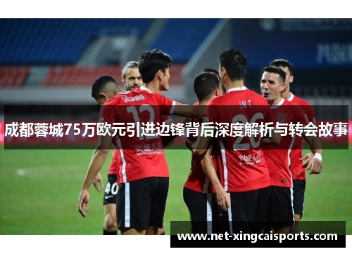 成都蓉城75万欧元引进边锋背后深度解析与转会故事