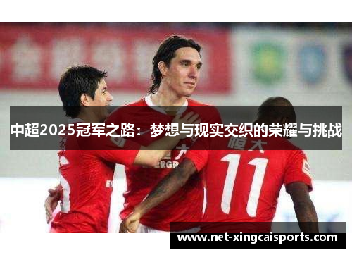 中超2025冠军之路:梦想与现实交织的荣耀与挑战 中超2025冠军之路:梦想与现实交织的荣耀与挑战
