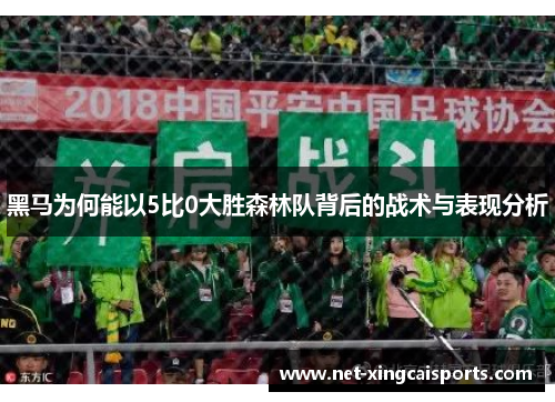 黑马为何能以5比0大胜森林队背后的战术与表现分析 黑马为何能以5比0大胜森林队背后的战术与表现分析