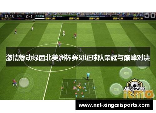激情燃动绿茵北美洲杯赛见证球队荣耀与巅峰对决